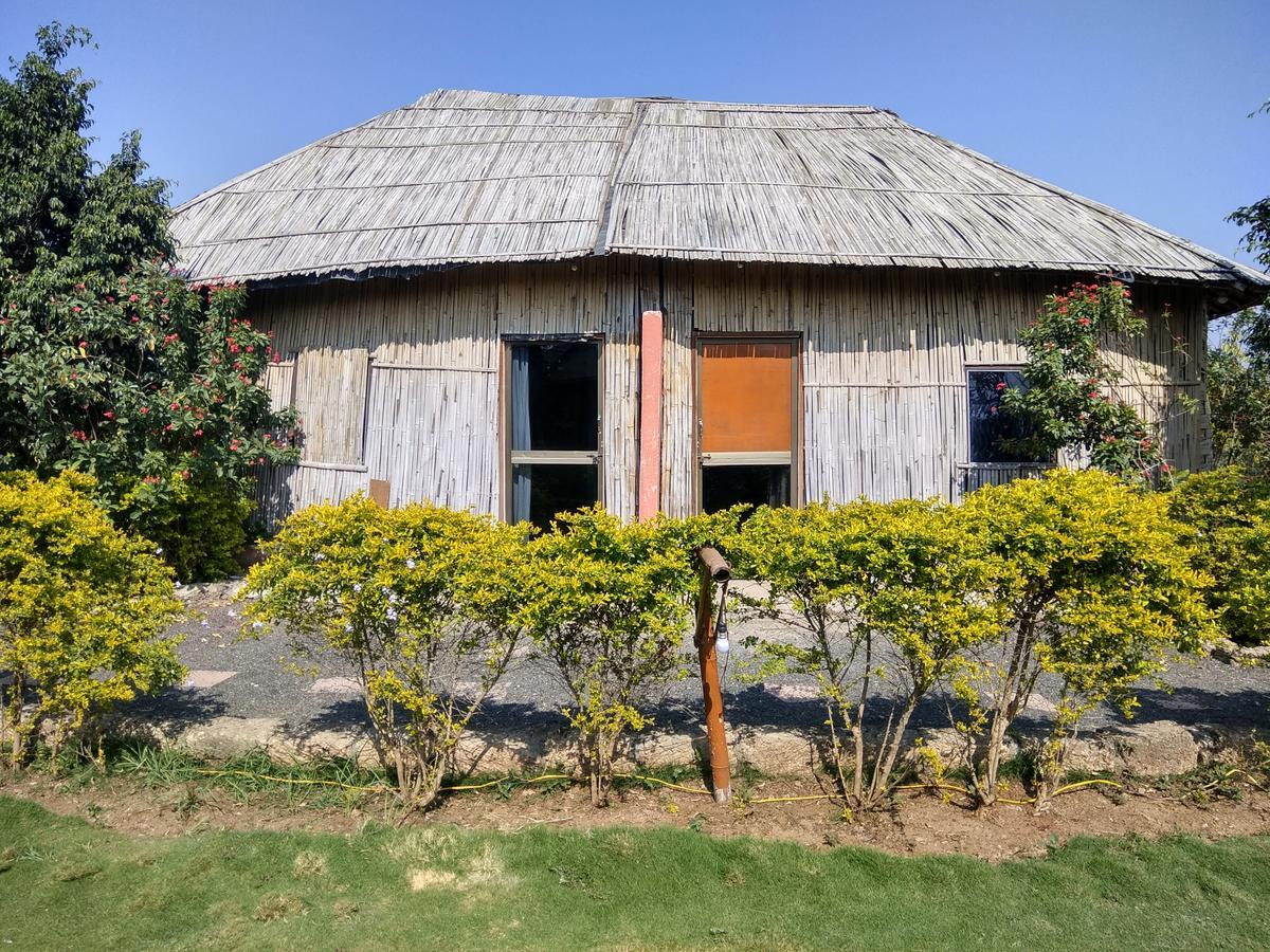 The Hillview Camp Resort Sasan Gir Εξωτερικό φωτογραφία